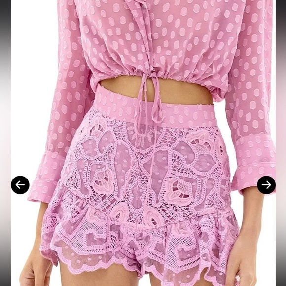 Alexis Kaja Cropped Blouse Top PINK sheer - Picture 3 of 12